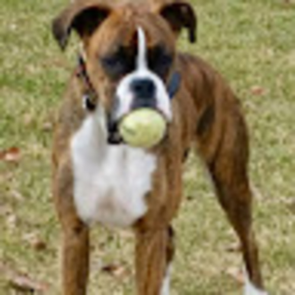 Meet your Posher, Sara - Picture 1 of 1